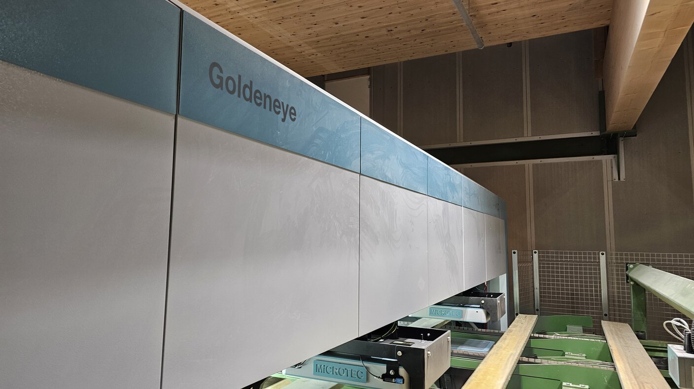 Goldeneye Transverse: Regardless of the time of day and mood